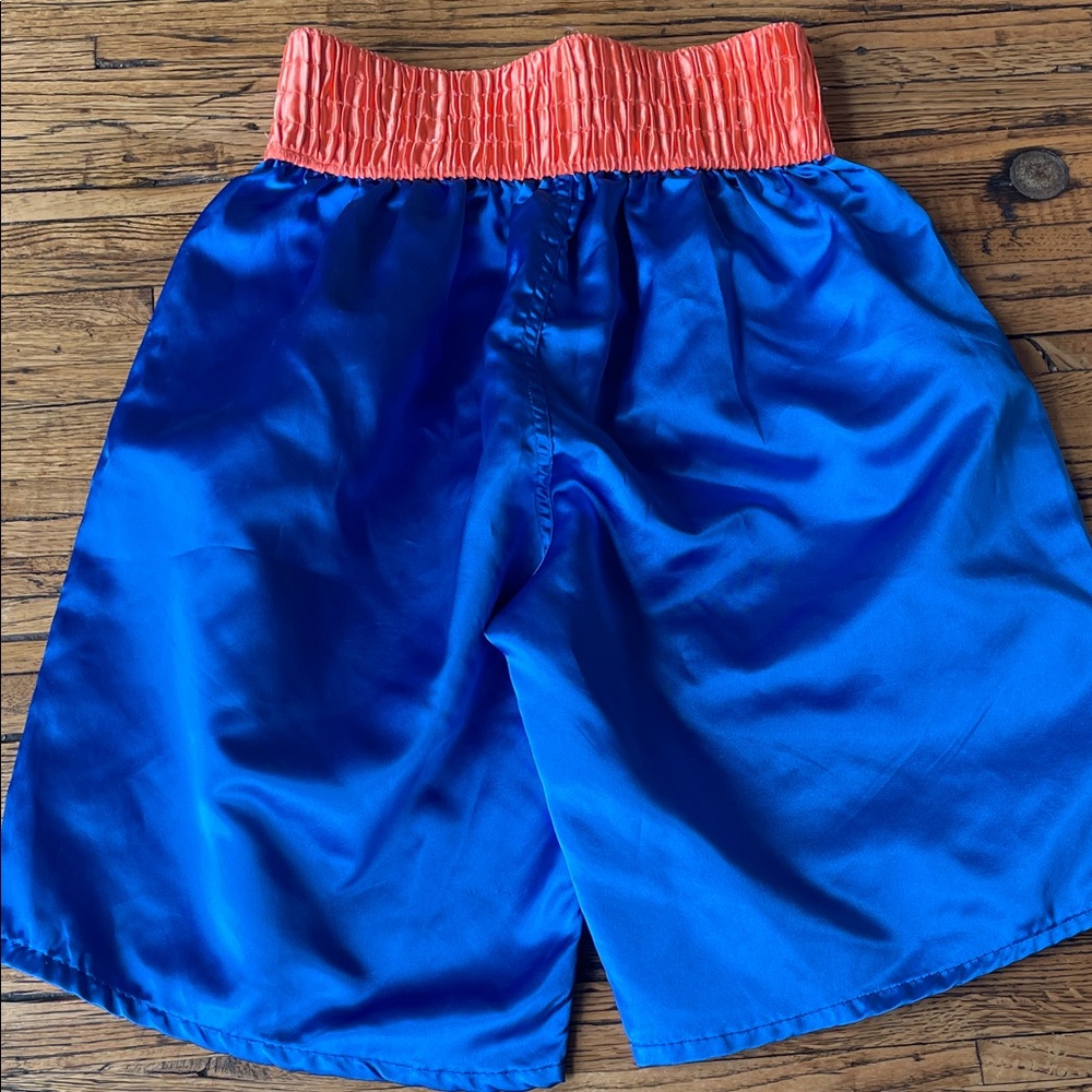 Everlast Authentic Boxing Trunks, worn by former boxer. - Picture 3 of 4